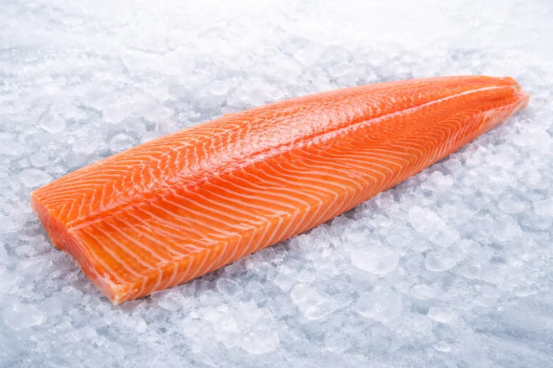 Fresh Salmon 